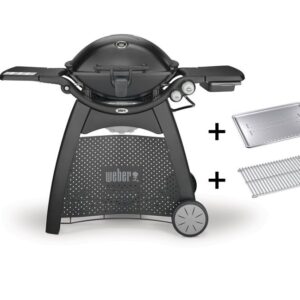 Weber Q 3200 Station
