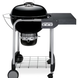 Gril Weber Performer GBS 57 cm