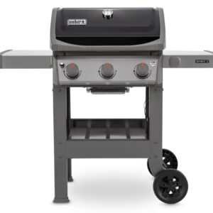 Weber Spirit II E-310 GBS